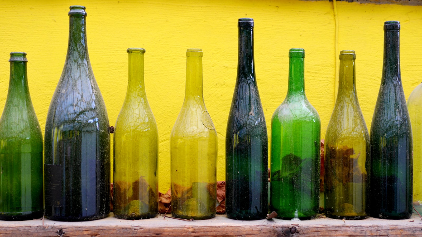 Coloured glass bottles standing in a row