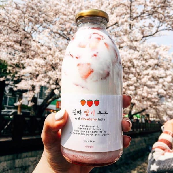 korea-milk-glass-bottle-case
